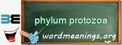 WordMeaning blackboard for phylum protozoa